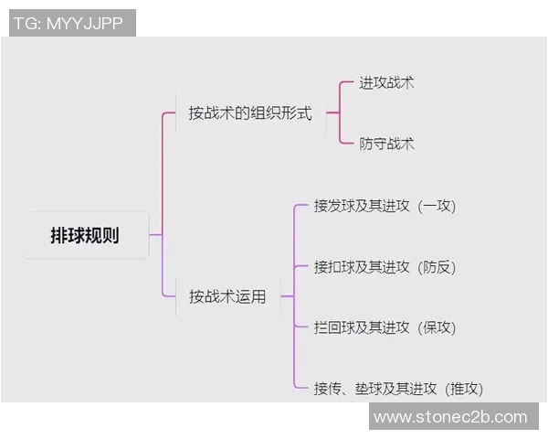 上海排球队的节奏变革引发热议新战术如何改变比赛格局
